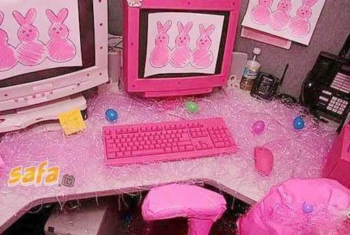 office-pink
