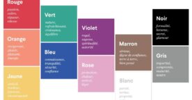 Quelle couleur pour son logo ou son identité de marque ?