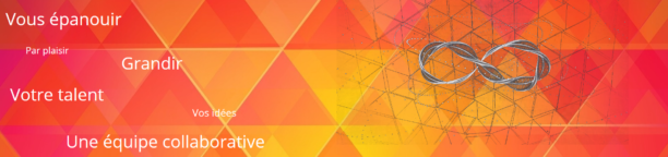 maxds-collaboratif