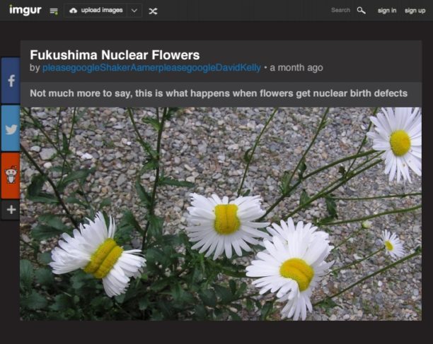 fukushima-flowers-fake-news