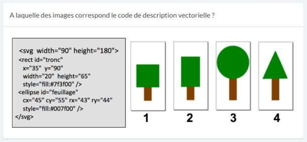 pix-contenu-competences-dev