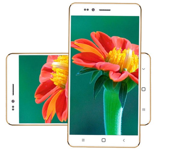 Le Freedom 251