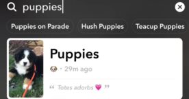 Nouveauté Snapchat : chercher des stories