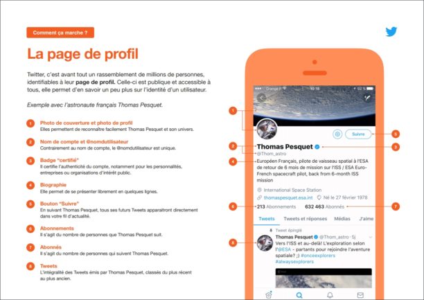 Un Guide Pour Debuter Sur Twitter Bdm