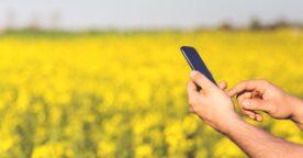 Transformation digitale : comment les outils numériques facilitent le travail des agriculteurs