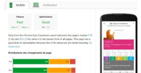Google PageSpeed Insights (PSI) : testez la vitesse de votre site en condition réelle