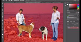 Mise à jour Photoshop : vous pouvez (enfin) détourer vos photos en quelques clics