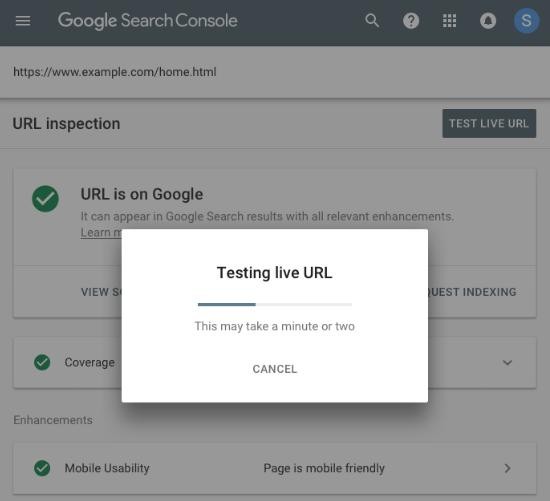 test-live-inspection-url