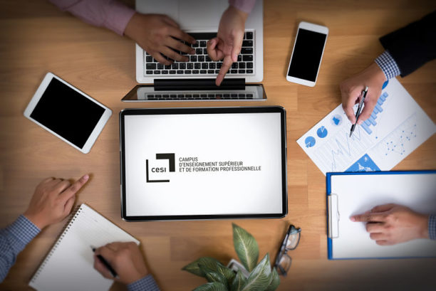 cesi ecole des managers 