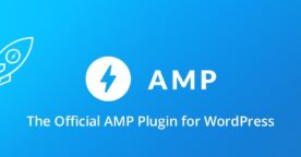 AMP : le plugin WordPress officiel s’améliore, découvrez les nouveautés de la version 1.0
