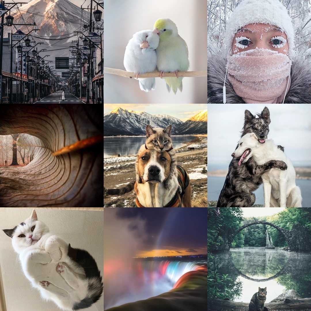 Instagram Best Nine faire un montage avec ses 9 meilleures photos