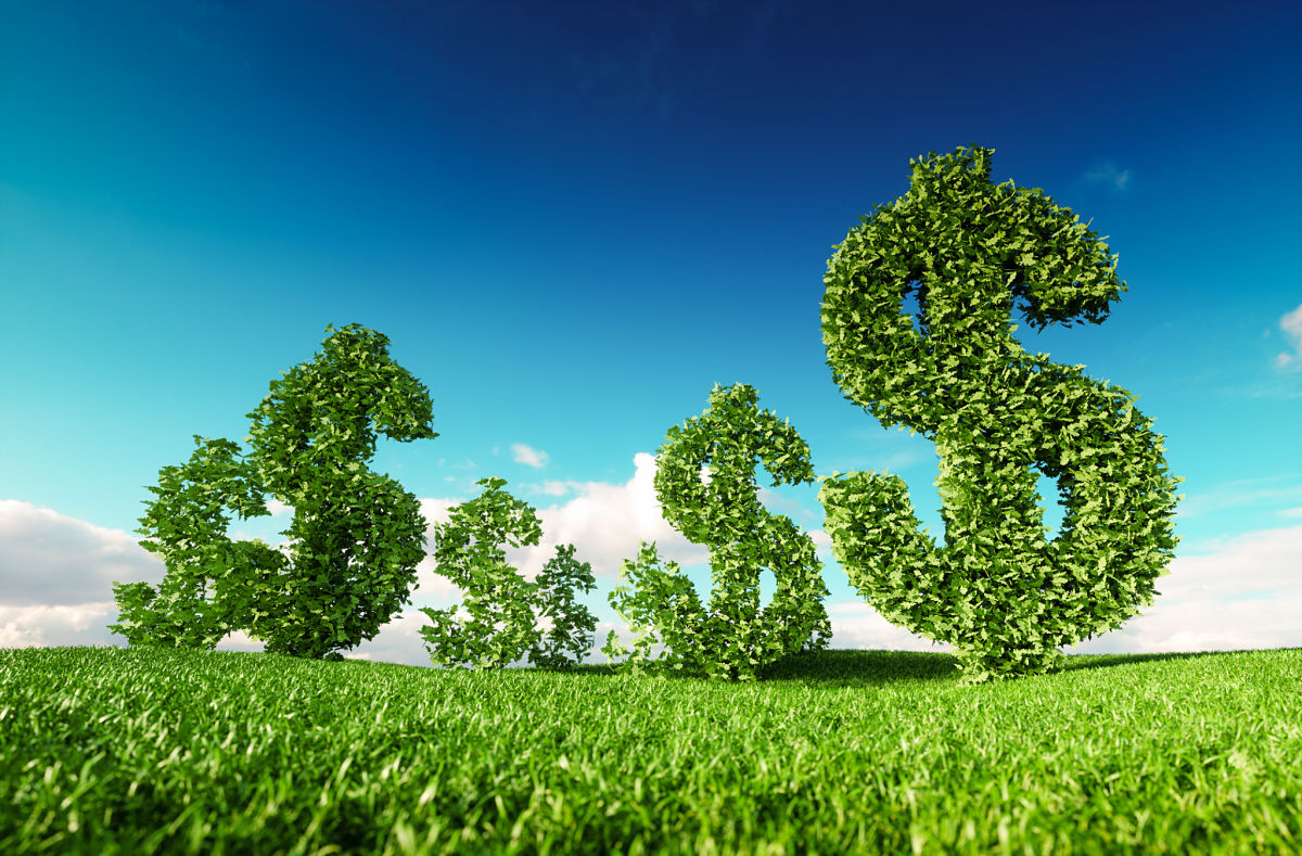 Profit vs climat