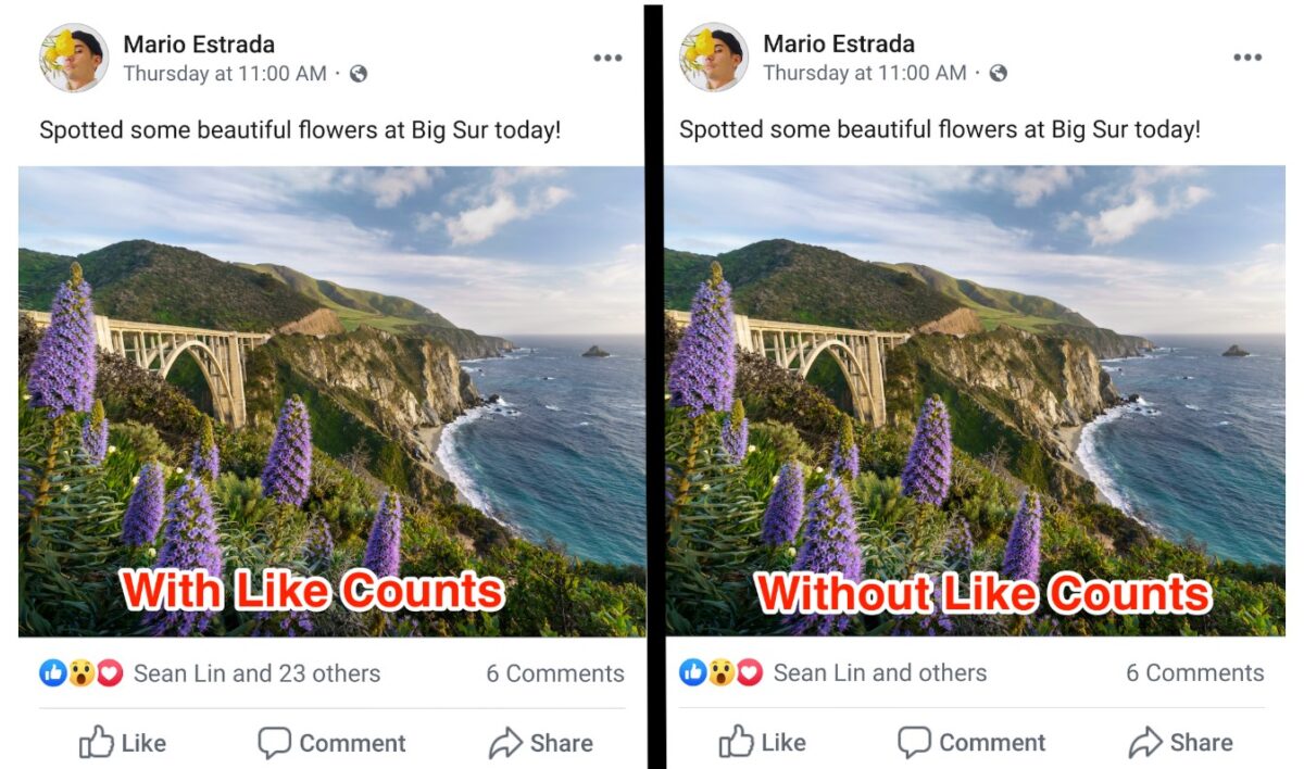 fin-likes-facebook