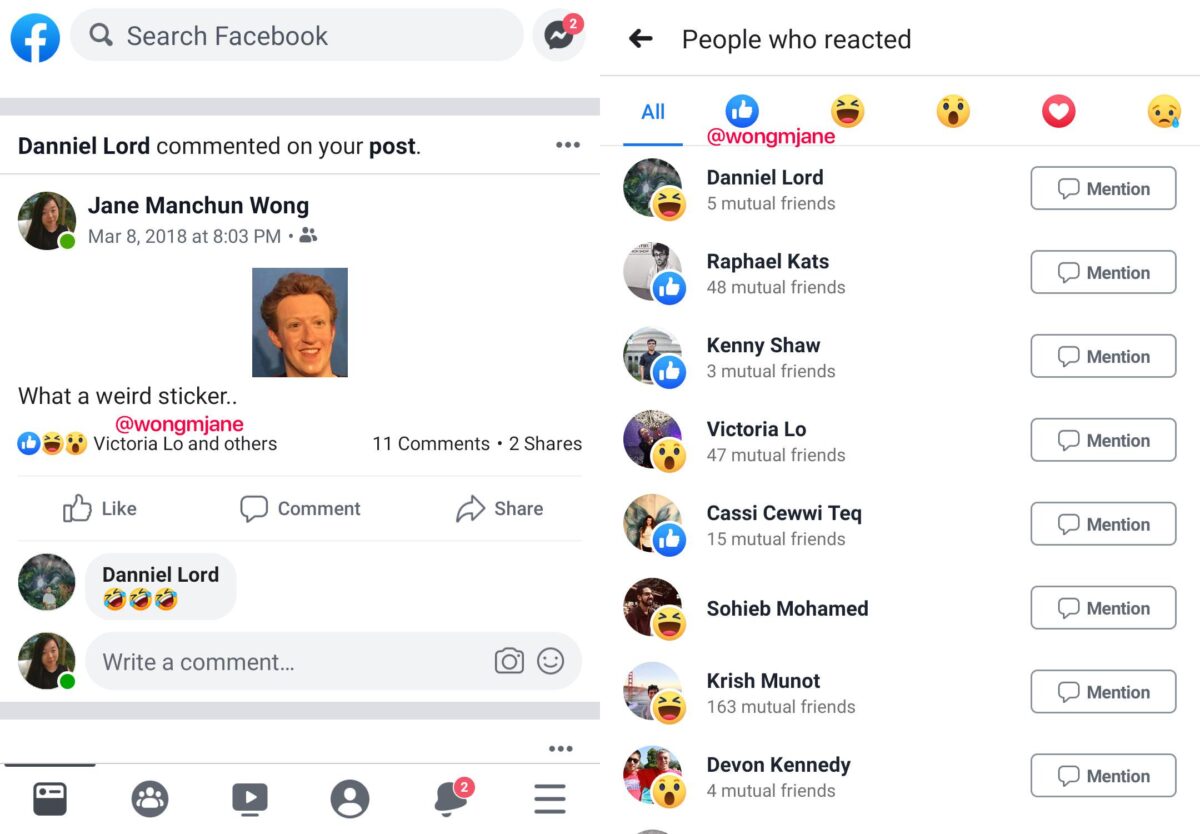 test-facebook-likes