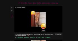 Regarder et télécharger les vidéos TikTok sur un PC avec TikTokForWeb