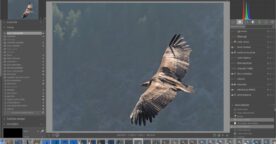 Darktable 3.0 : une nouvelle version pour l’alternative gratuite de Lightroom