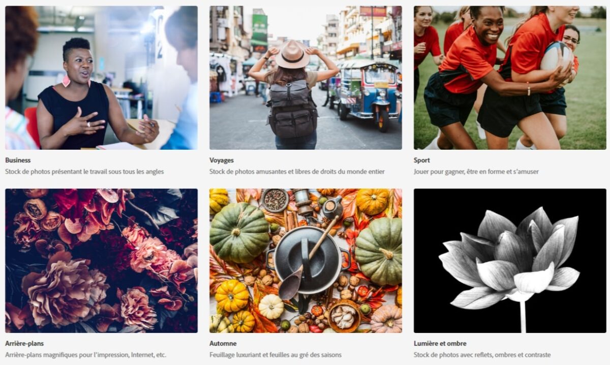 adobe-stock-categories