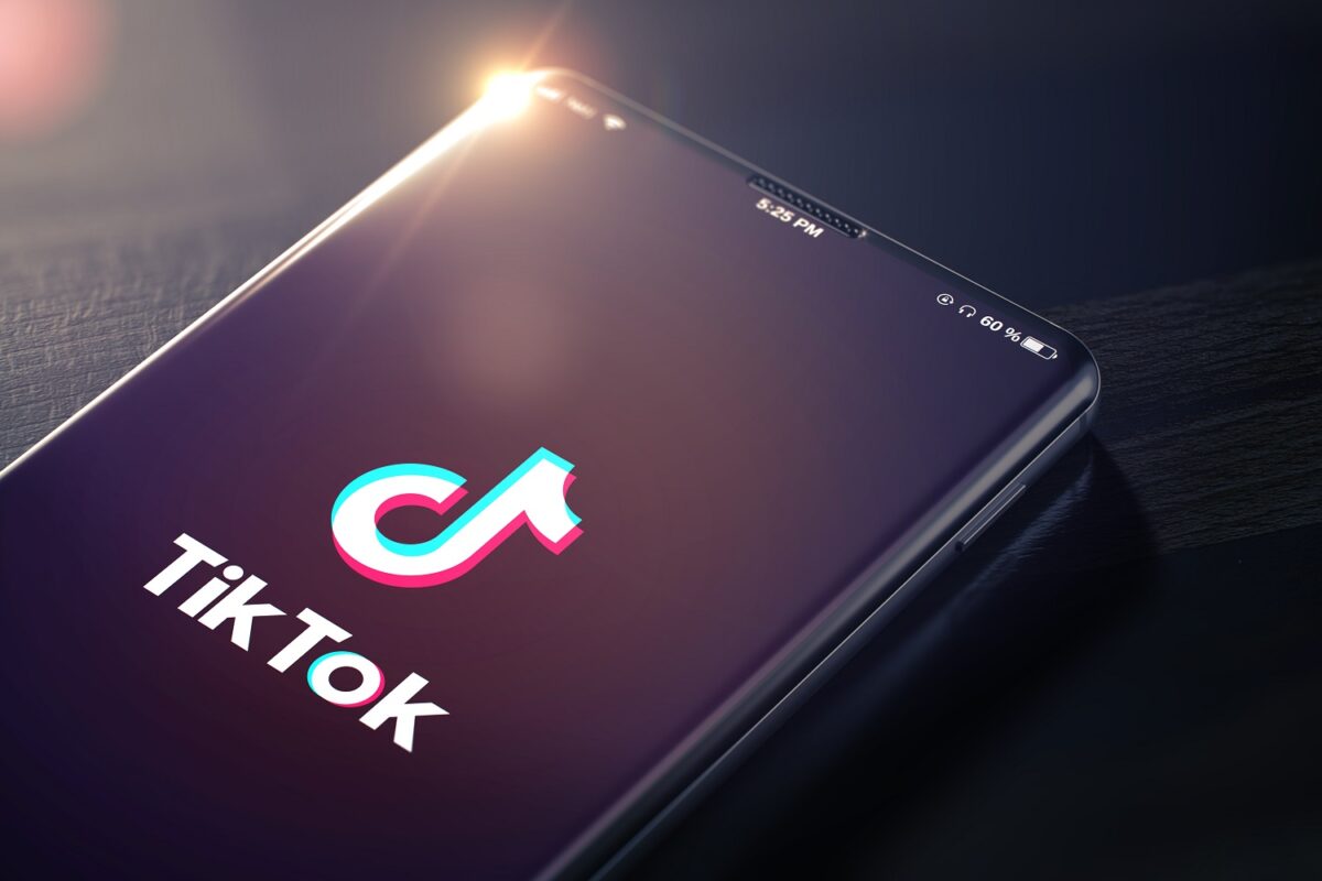 Les influenceurs sur TikTok en France : chiffres clés, audience, top 10 des  créateurs…