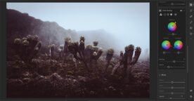 Adobe Lightroom améliore l’étalonnage des couleurs avec Color Grading