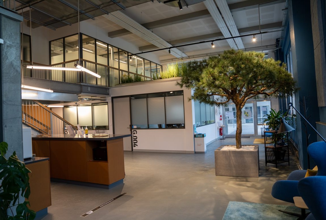 arkea-site-bordeaux-arbre