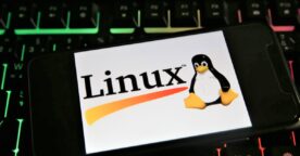 Linux fête ses 30 ans