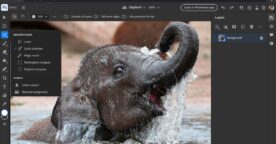 Adobe MAX 2021 : la liste des nouveautés