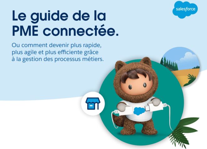 salesforce-guide-connected-sme