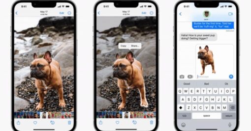 iphone detourer image visual look up