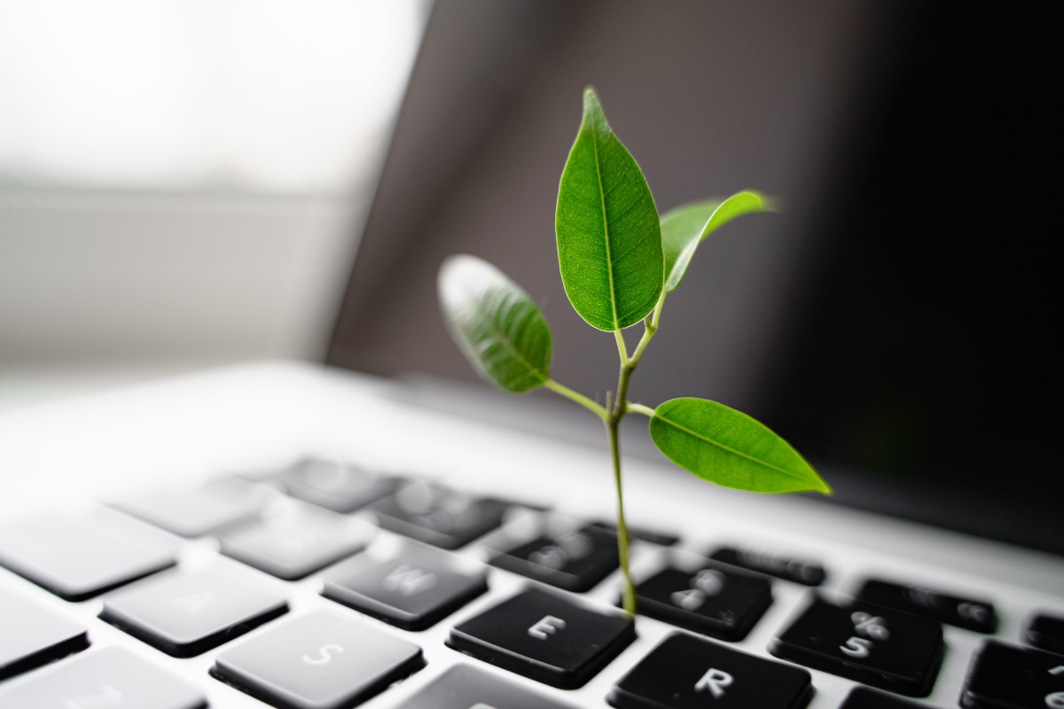 reduire-empreinte-carbone-numerique-site-web