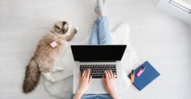 10 outils gratuits pour bien débuter la rentrée