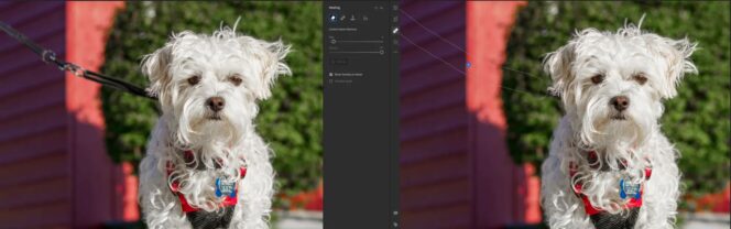 lightroom-content-aware-adobe-max-2022