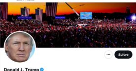 Elon Musk rétablit le compte Twitter de Donald Trump, via un sondage