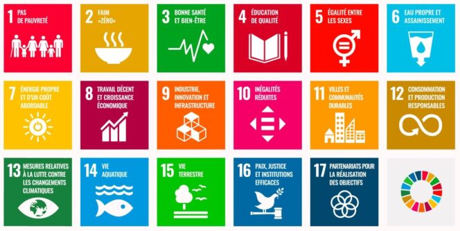 startup-impact-objectifs-onu-developpement-durable