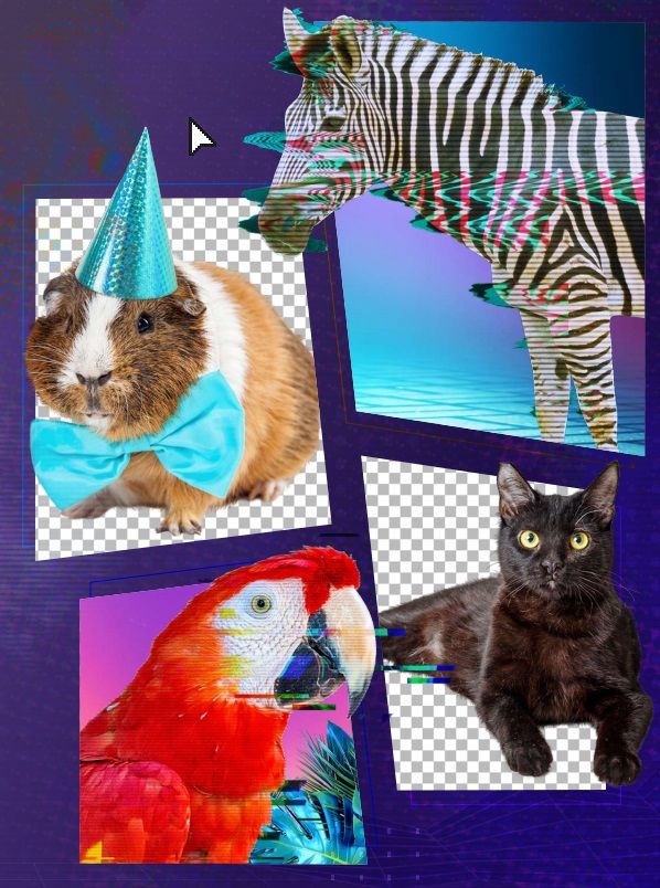 adobe-tendances-2023-animaux-influenceurs