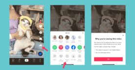 Nouveauté TikTok : découvrez pourquoi une vidéo est recommandée dans votre flux For You