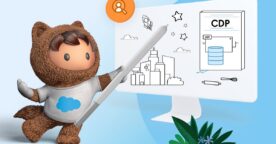 Guide : comment bien choisir et lancer sa Customer Data Platform