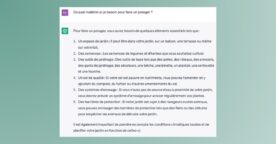 ChatGPT : Notre Guide Pour Créer Les Meilleurs Prompts