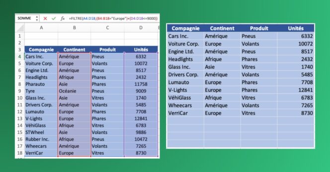 Excel – Fonction filtre – Exemple 4