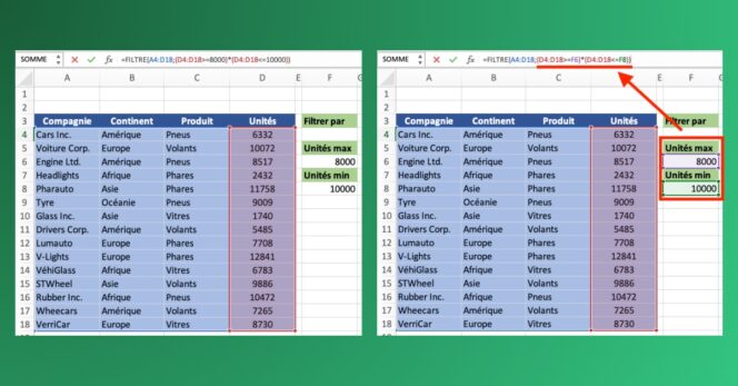 Excel – Fonction filtre – Exemple 5