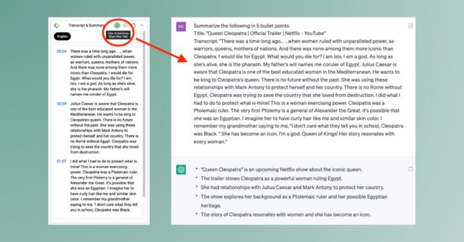 Extension Chrome ChatGPT : YouTube Summary (2)