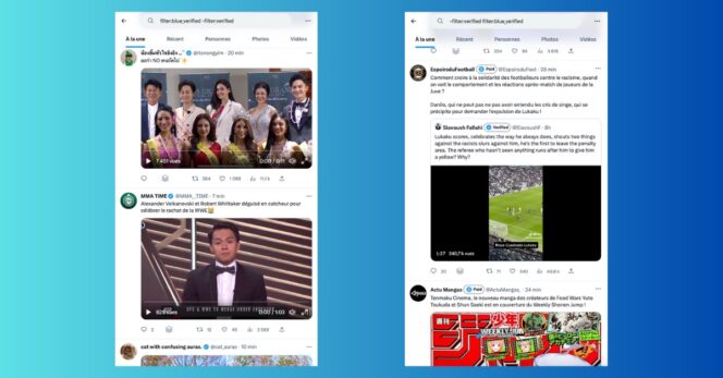Twitter-certification-filtres