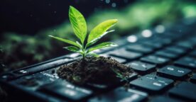 Comment mesurer l’impact réel de votre site web sur l’environnement ?