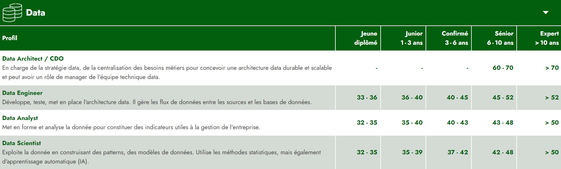 Grille Salaires Data 2023