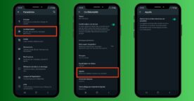 WhatsApp : comment mettre en sourdine les appels de numéros inconnus