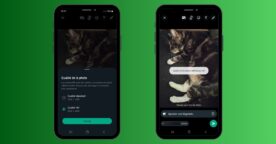WhatsApp : comment envoyer des photos et vidéos en HD