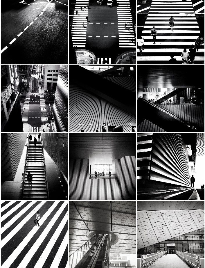 Feed Instagram Noir et Blanc