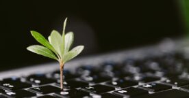 Marketing digital responsable : enjeux et bonnes pratiques pour réduire l’impact environnemental et sociétal