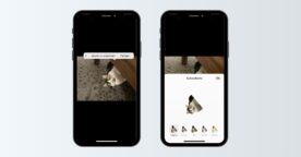 iPhone : comment détourer une photo pour créer un autocollant avec iOS 17