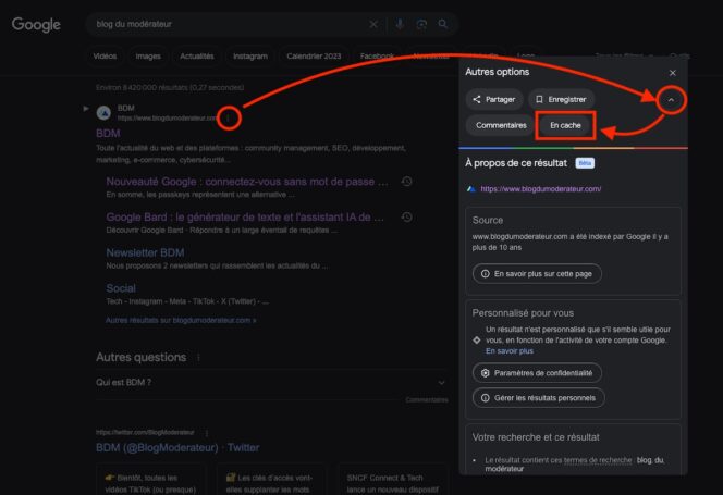 Cache-Google-résultats