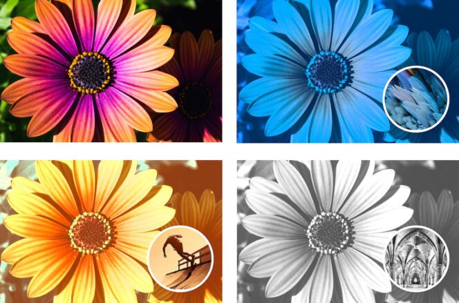 Photoshop-Elements_ColorMatch